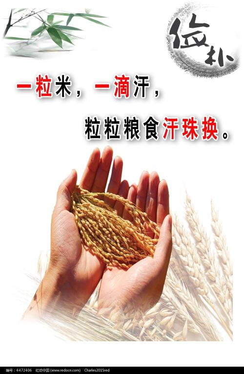 Malone College环境科学学位证书